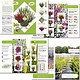 Broschüre zum Herbstangebotes eines Gartenbaubetriebes