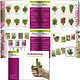 Produktkatalog für einen Gartenbaubetrieb