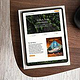 Brand & Webdesign für einen nachhaltigen…