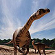 Plateosaurus, the swabian lindworm