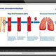 Roche Diagnostics, inklusive Erstellung der Illus