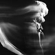 Copyrights by Mimoza Veliu