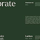 250529-Aura-SS Seite 11