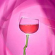 Pink Wine Tunnel