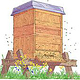 Gemüsegarten 2