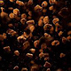 3d voronoi fracture & particles sim