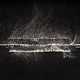2d particle sim