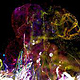 3d xparticles sim