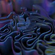 3d spline physics sim