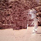 3d character & granular particles sim