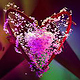 3d valentines heart animation & particle sim