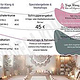 Flyer-1 Seite