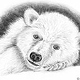 Pencil Drawing