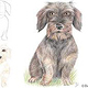 Drawing step-by-step
