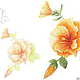 Drawing step-by-step