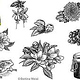 Editorial Illustrations Compact Publisher