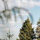 studio-pp-neugrad-eifel-9