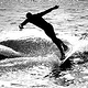 THE FINAL WAVE