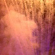 PURPLE HAZE