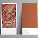 Schreinerei Lienin – Print Design