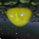2D Animation