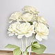 Rose weiß