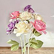 Rose 1