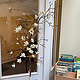Magnolien 2 Meter hoch