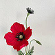 Mohn aus Krepppapier