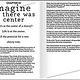 Imagine—Embracing Chaos and Possibility in a Planetary Emergency