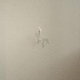 Future in finitude, 2022 –