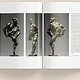 Aus KUNST SEHEN, Band 17: Auguste Rodin