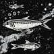 Space Sardine