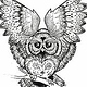 Das Herz der Eule