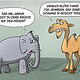 Elefant vs. Kamel
