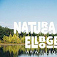 Logoentwicklung & Branding | Naturcamping Ellbogensee