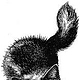 Illustration Katze