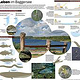 Tiere in Baggerseen – eineinhalbseitige Zeitungsgrafik