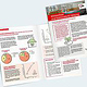 Editorial Design · Layout · Infografiken