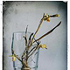 Stilleben Zerbrochenes Glas mit Blumen