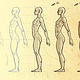 Zeichenunterricht: Anatomie / Körper / Profil 01