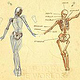 Zeichenunterricht: Anatomie / Skelett und Bewegung 01