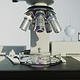 Microscopic Exploration