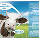 Flyer Front für Horster Meierrei back
