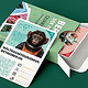 Quartett – Illustration und Design