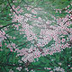 Wildpflaumenblüten im Garten / Acryl auf Sperrholz