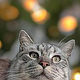 IrenaDesign −34
