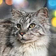IrenaDesign −33