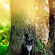 IrenaDesign −09