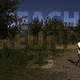 Videostill